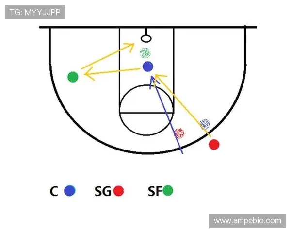 深圳羽毛球队的防反战术解析与深度剖析