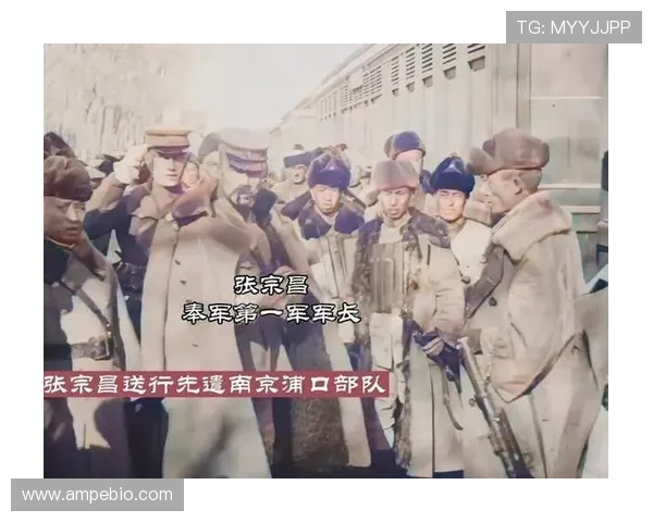 深圳网球队的崛起之路：从默默无闻到世界杯舞台的辉煌历程