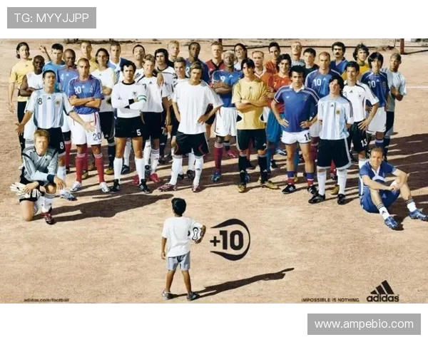 深度对话：王磊谈足球梦想与人生旅程的精彩瞬间