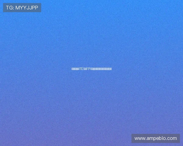 赛后复盘：TES与FPX的持久战较量与战术深度解析